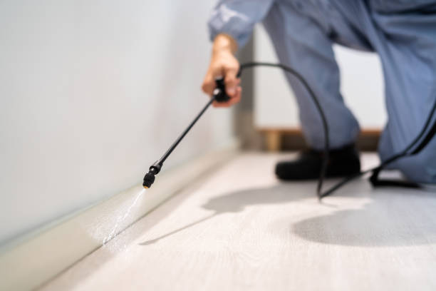 Licensed Pest Control service in Gamewell, NC - Show Me Pest Control