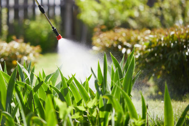 24/7 Emergency Mosquito Control experts in Gamewell, NC